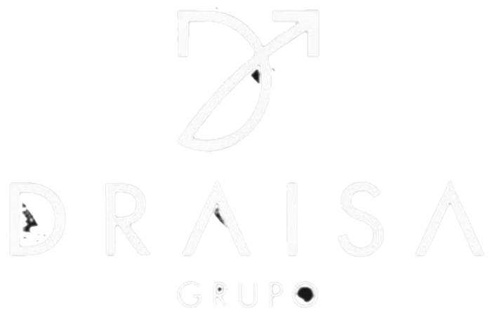 logo draisa